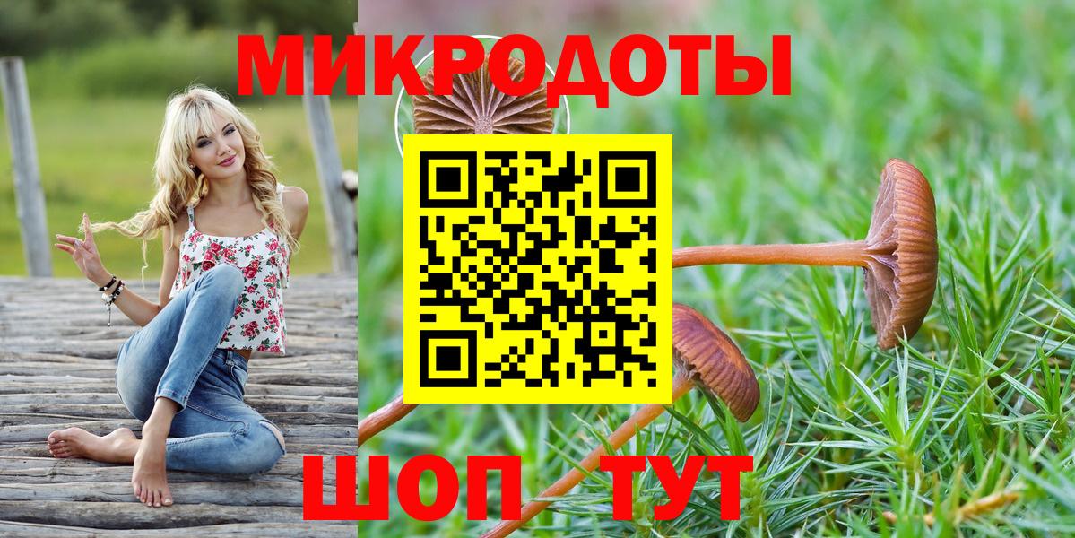 Псилоцибиновые грибы Psilocybine cubensis Горно-Алтайск